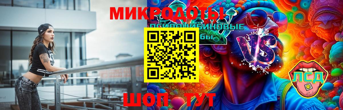 Галлюциногенные грибы мицелий  Вход с VPN  Галлюциногенные грибы Psilocybe  закладка  Знаменск 