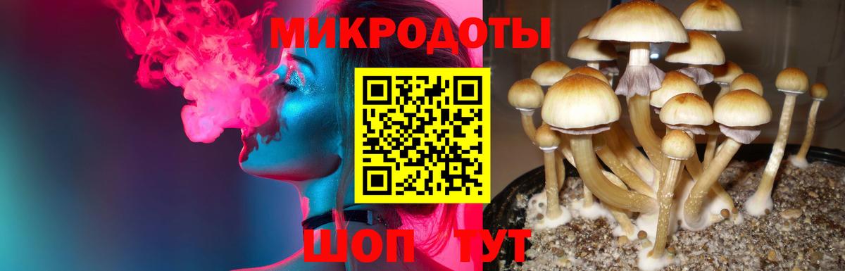 Галлюциногенные грибы Magic Shrooms Знаменск